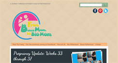 Desktop Screenshot of frombonusmomtobiomom.com